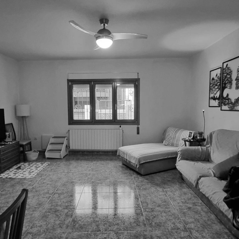 salon-estado-anterior.-Molina-109