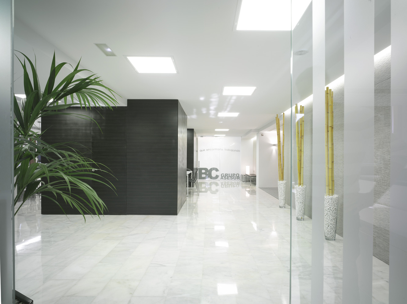 Diseño Interior Murcia Alberto García Oficinas