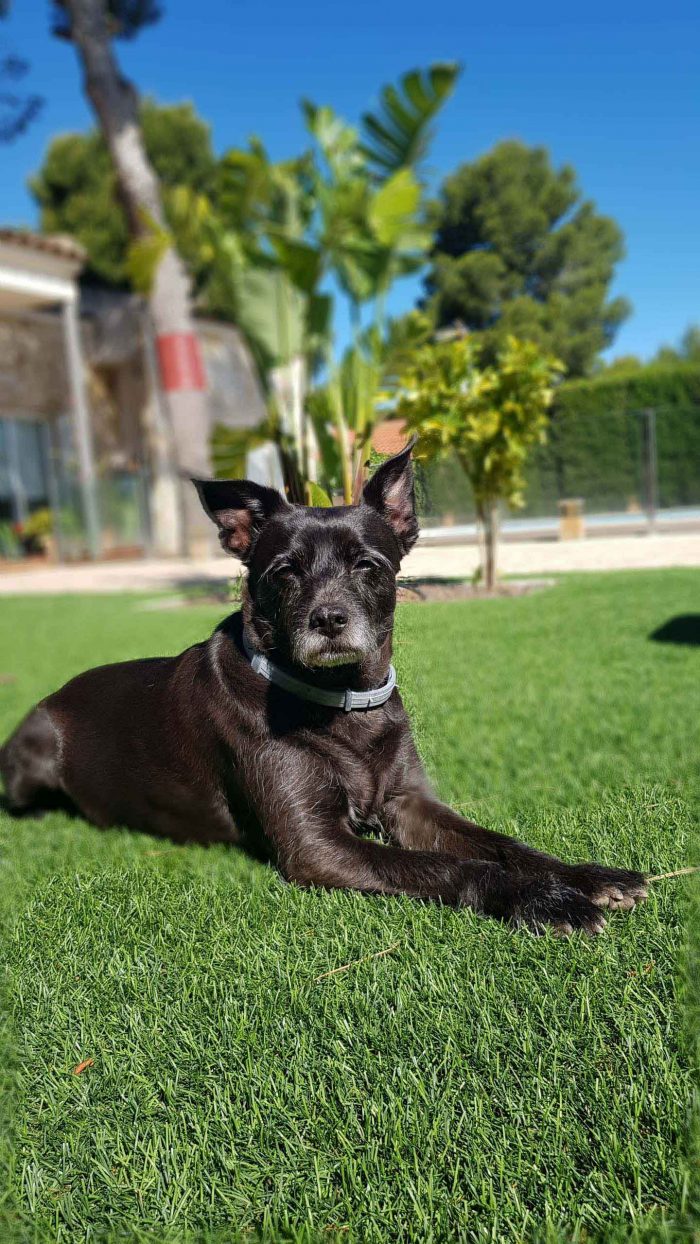 ALBERTO GARCÍA DISEÑO INTERIOR TECLA