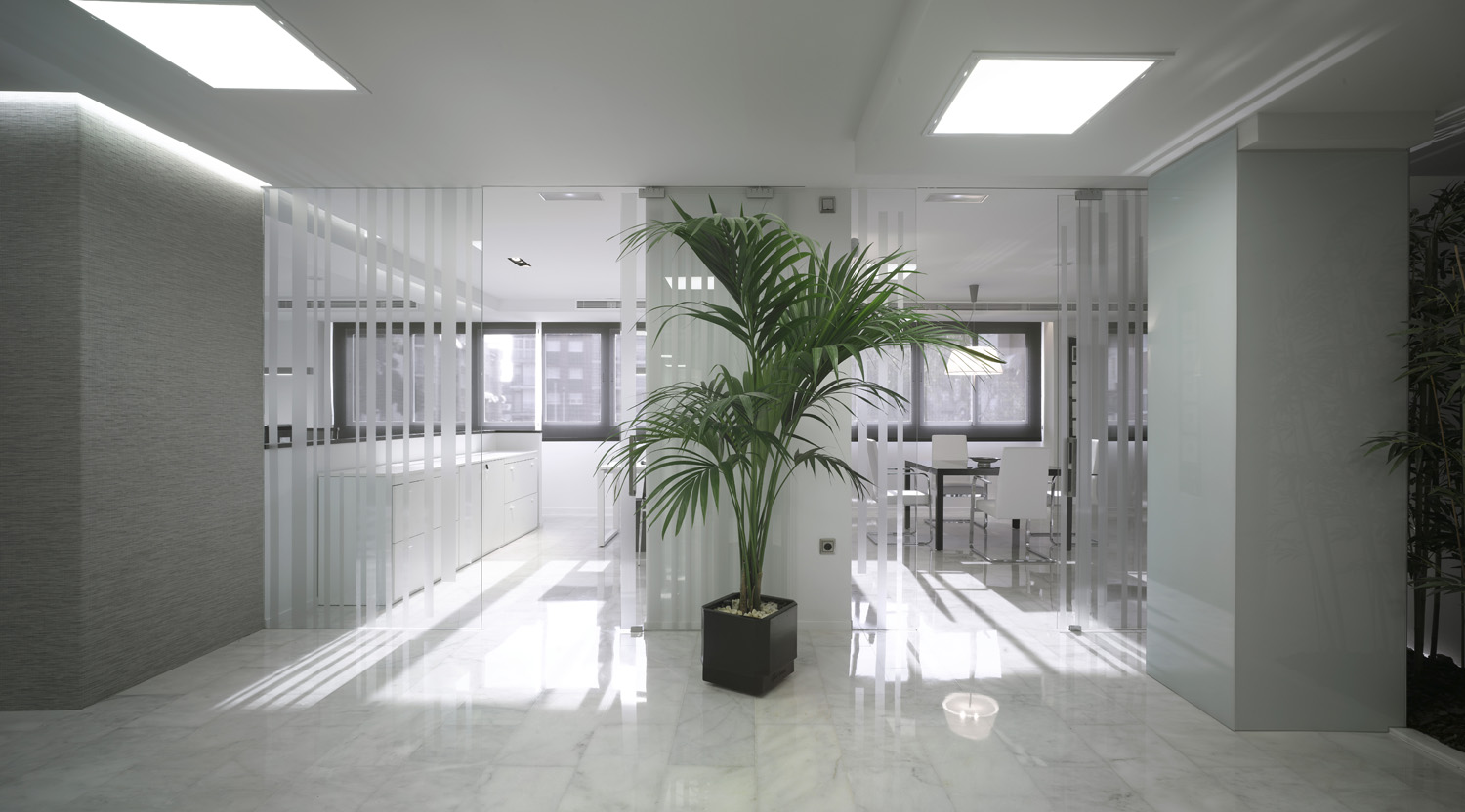 Mejor Interiorista Alberto García Murcia oficinas